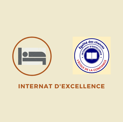 Logo internat d'excellence beige.png